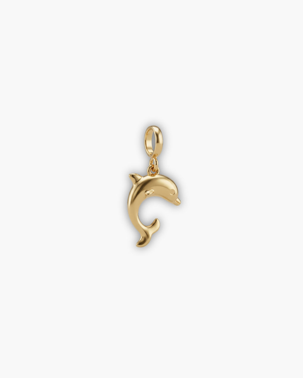 DOLPHIN CHARM