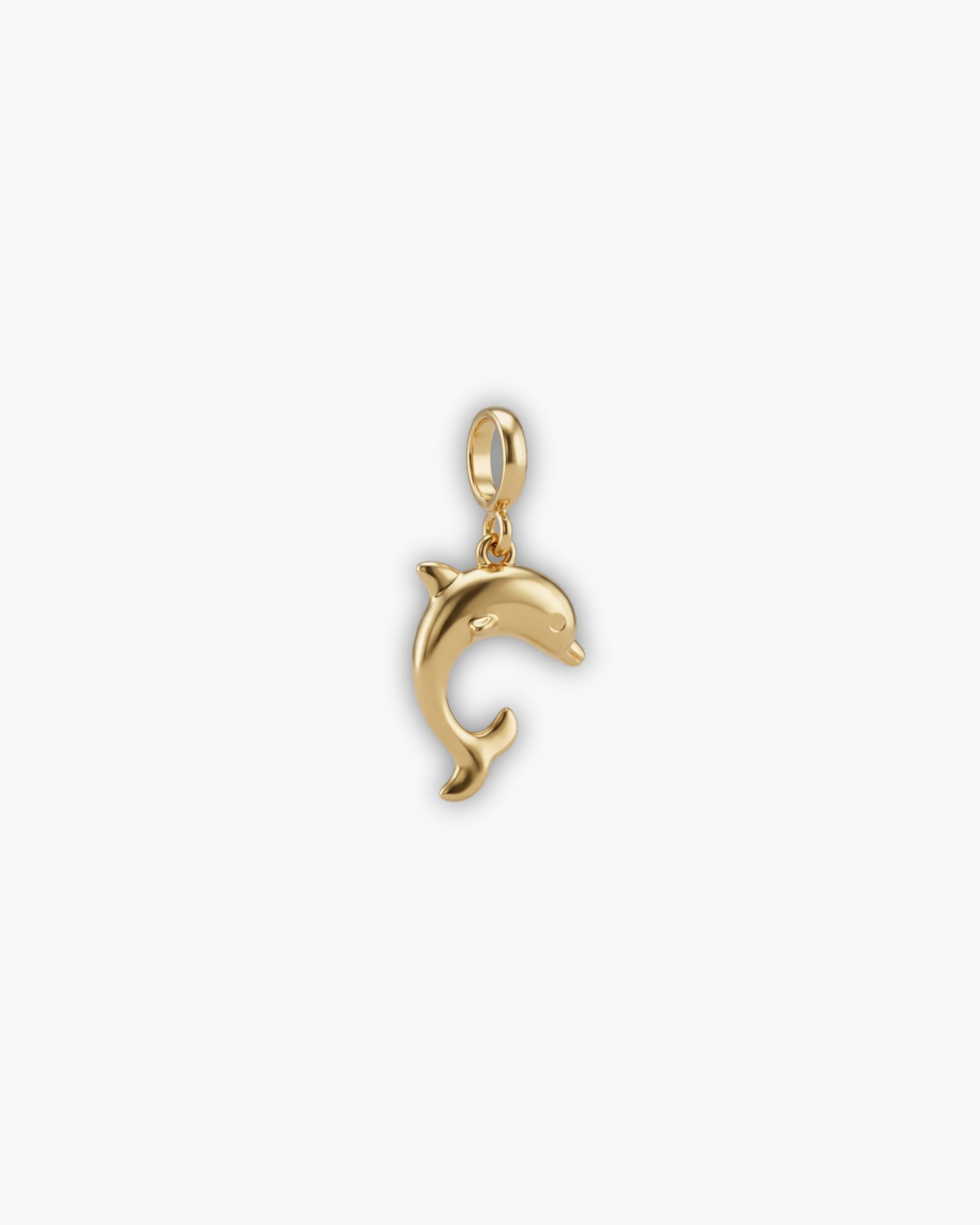 DOLPHIN CHARM