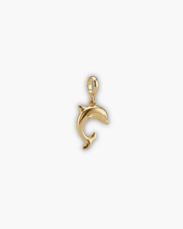 DOLPHIN CHARM