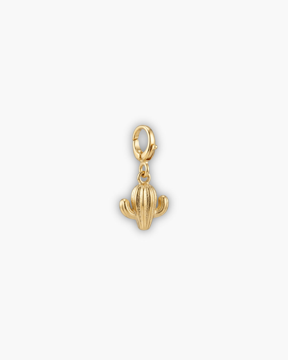 CACTUS CHARM