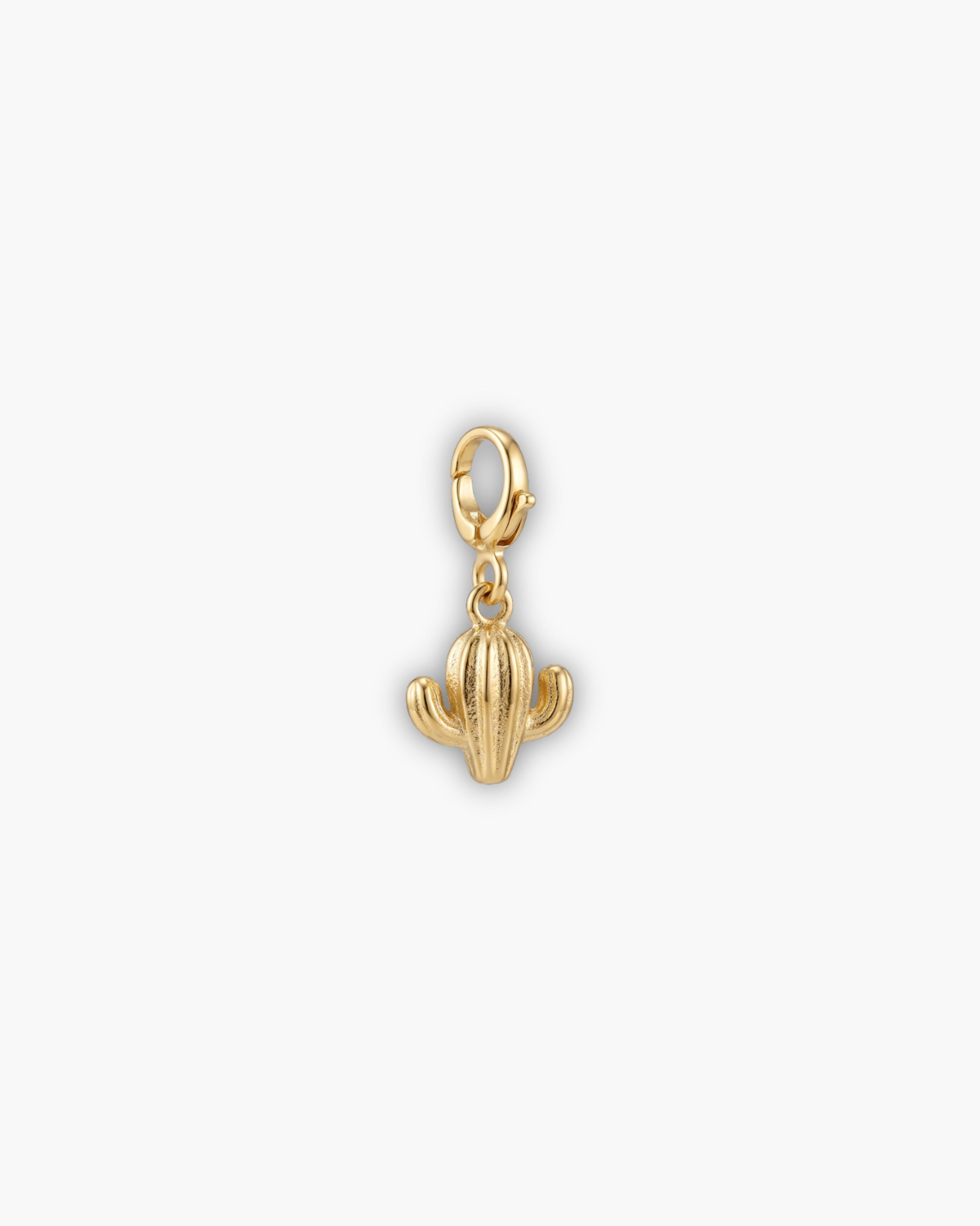 CACTUS CHARM