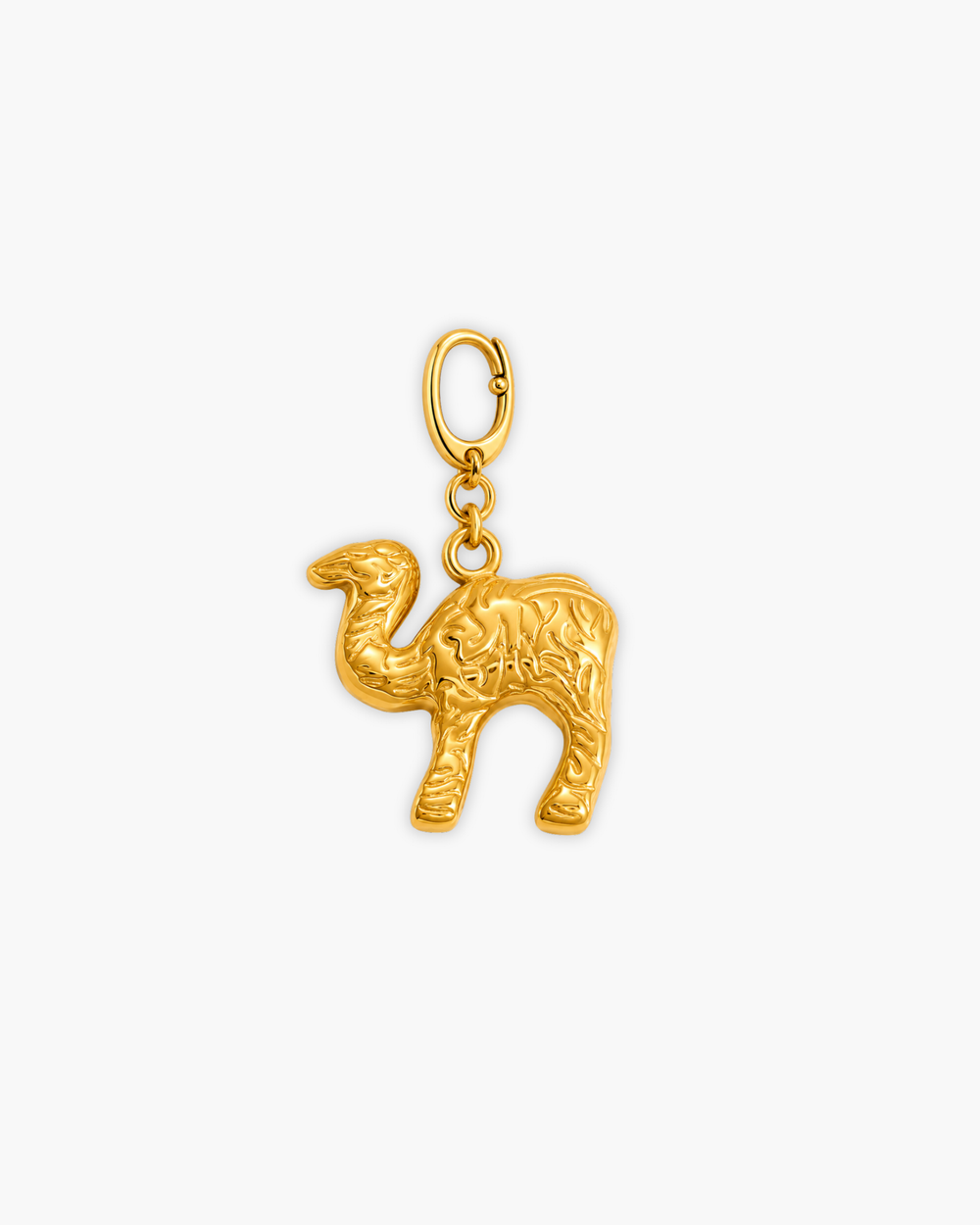 CAMEL CHARM