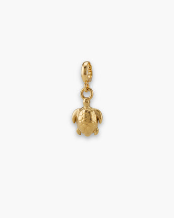 TURTLE CHARM