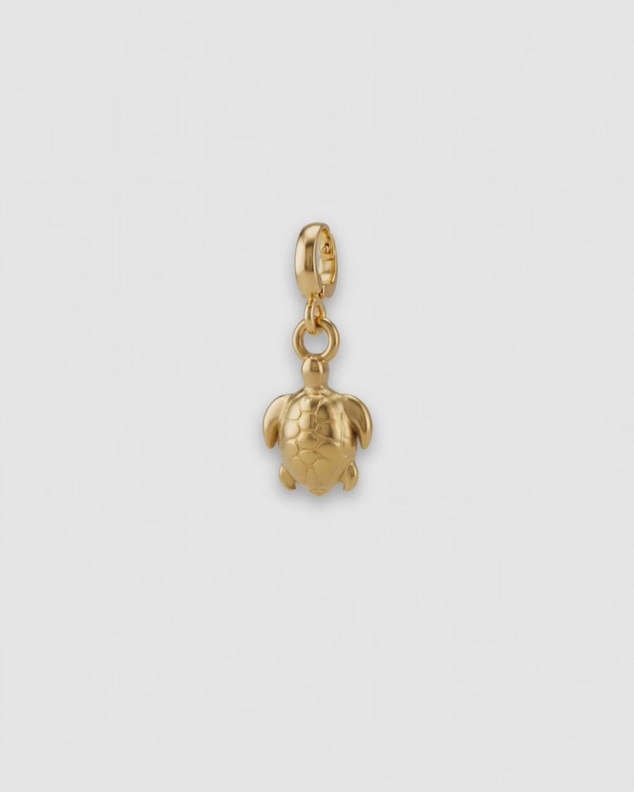 TURTLE CHARM