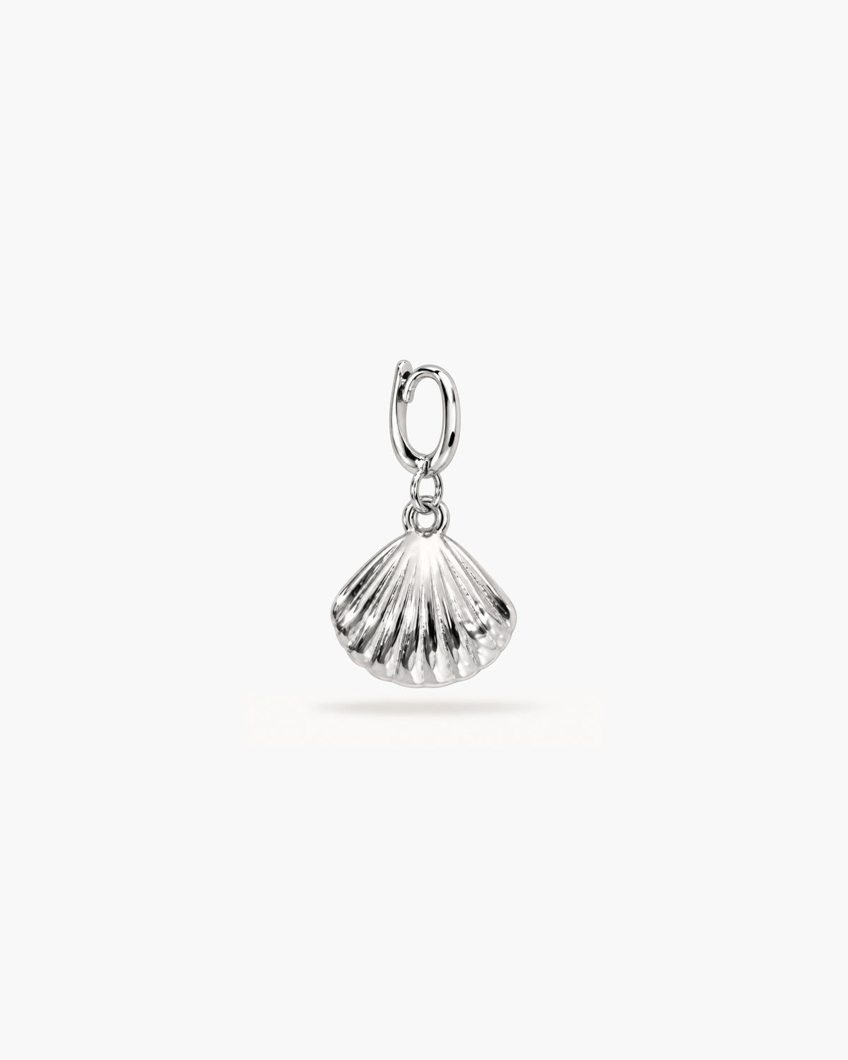 SMALL SEA SHELL